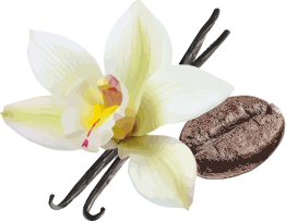 Vanilla flower with coffee bean