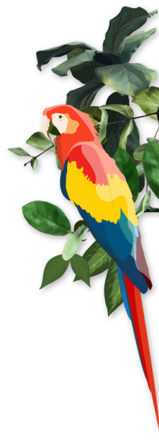 Macaw perched on a branch